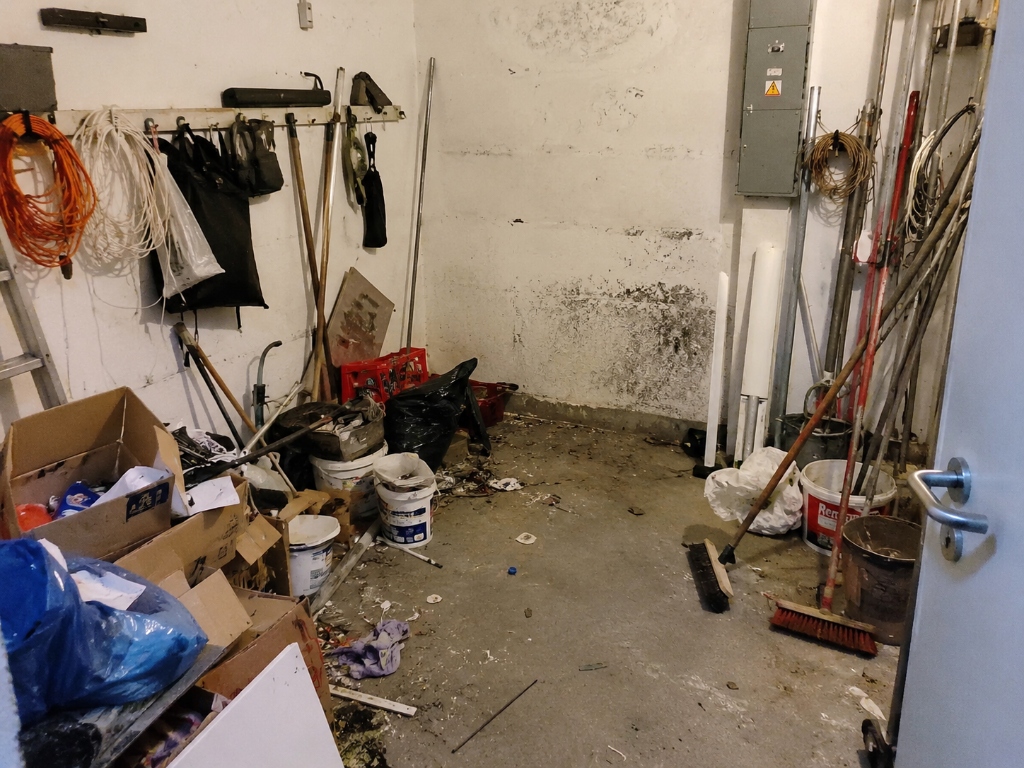 Hausmeisterservice Vorher (Unaufgeräumt)